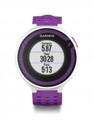 %d1%87%d0%b0%d1%81%d0%be%d0%b2%d0%bd%d0%b8%d0%ba-garmin-forerunner-220-010-01147-11