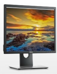 Монитор Dell P1917S 19"