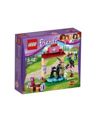 LEGO FRIENDS Банята на кончето 41123