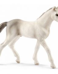 SCHLEICH Фигурка ХОЛЩАЙН КОНЧЕ 13860-02135