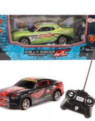 TOI TOYS Състезателна кола Rally Racer R/C Асорт. 25010