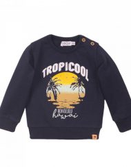 Суитчер Tropicool