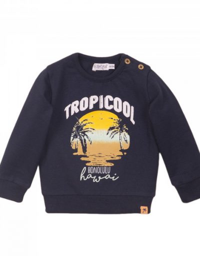 Суитчер Tropicool